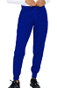 Stretchable Jogger Scrub Pant 6 Pockets Unisex