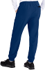 Unisex Jogger Scrub Pant Back 